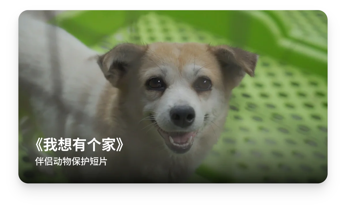 《我想有个家》